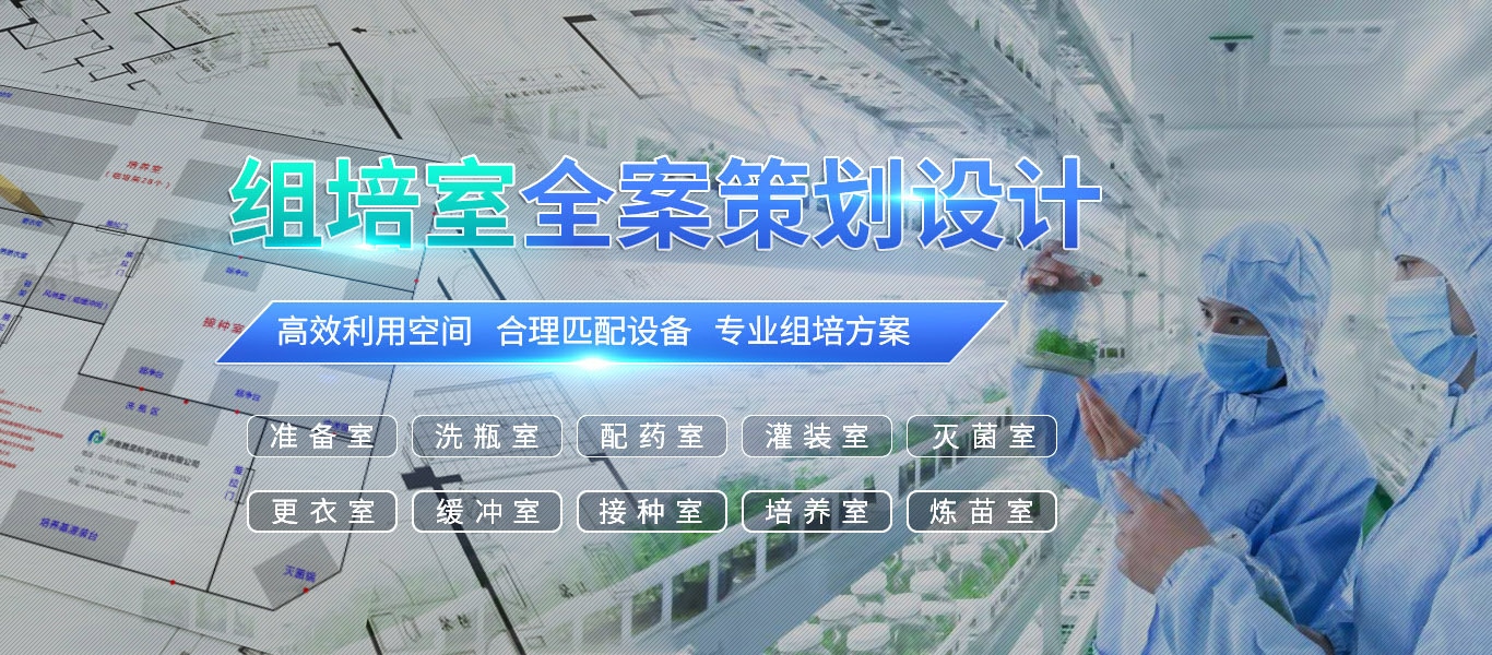 好色先生TV版下载、好色先生TV版下载架