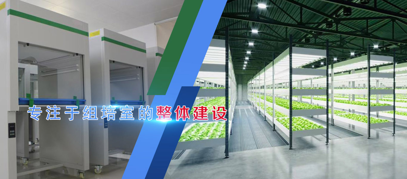 好色先生TV版下载、好色先生TV版下载架